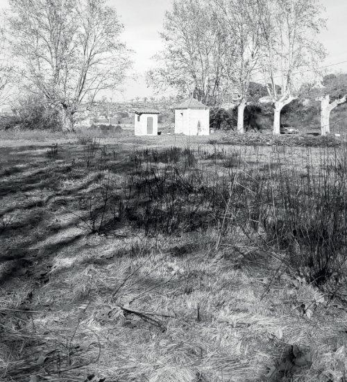 Davall d’aquest terreny hi ha l’aigua que reté la presa de l’embassament. Al fons, l’estació de bombatge i, al lateral, plataners que s’alimenten de la humitat de la zona. FOTO: Miquel Andreu