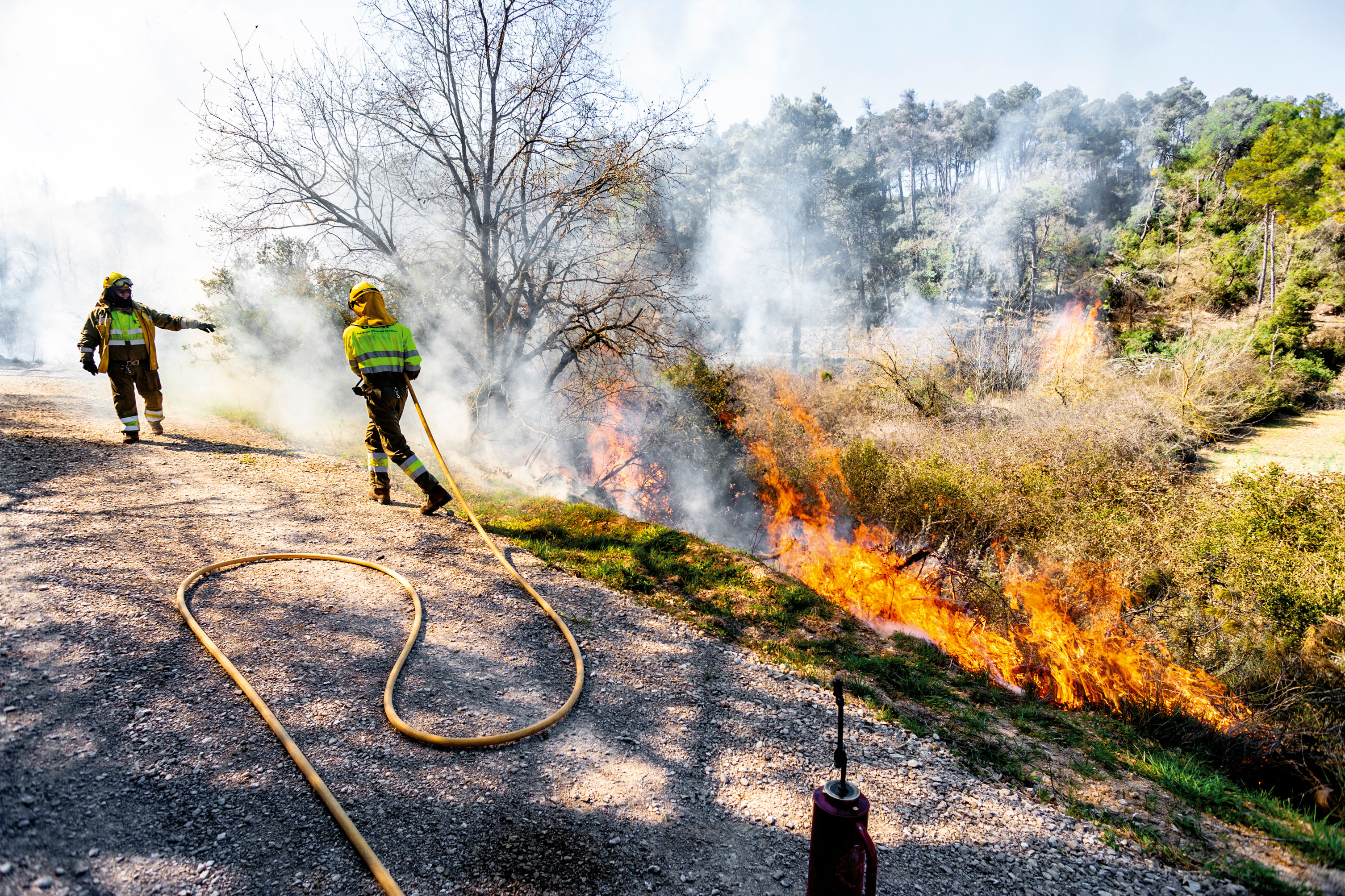 Imatge de les cremes controlades fetes a Tarrés. FOTO: Xavi Minguella